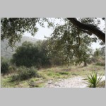 Derzeit freut man sich hier über nichts mehr als über den seltenen Regen, auch wenn die Ernte dann Pause machen muss. Derzeit freut man sich hier über nichts mehr als über den seltenen Regen, auch wenn die Ernte dann Pause machen muss.